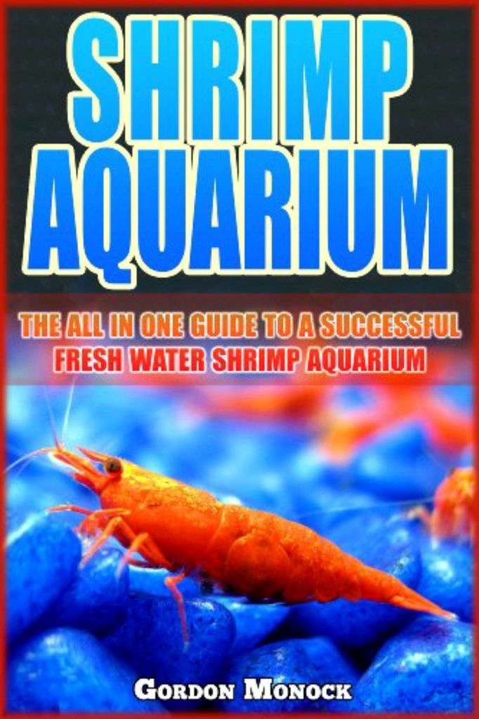 15+ Meilleures Crevettes D'eau Douce Pour Aquariums